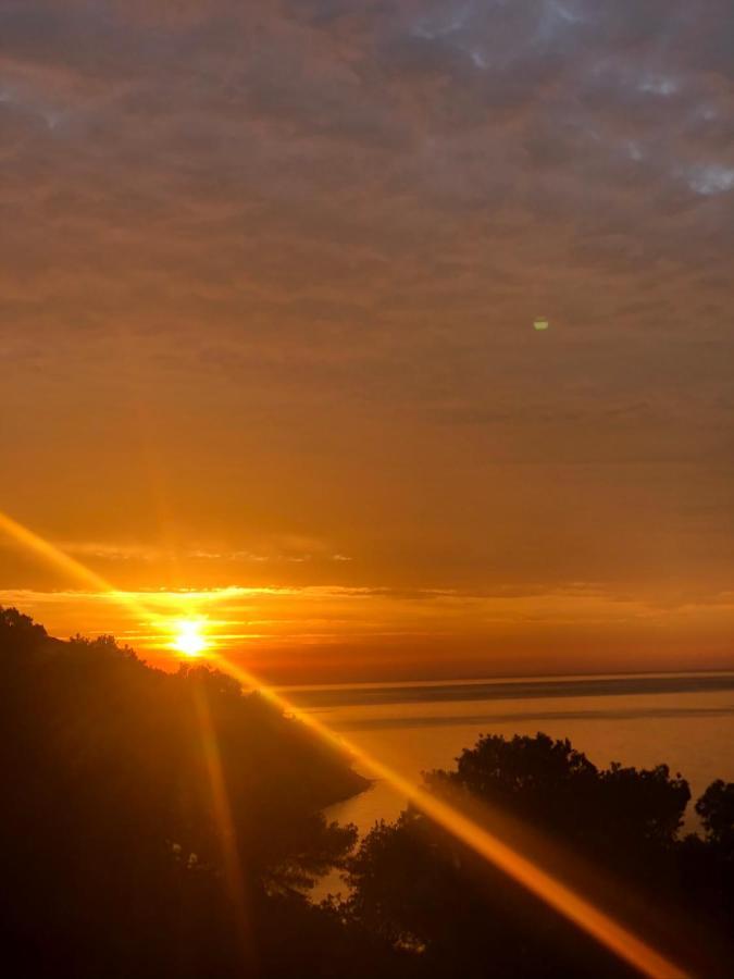 Apartamento Junto Al Mar En Costa Tropical Y Alpujarras Granadinas Melicena Eksteriør bilde
