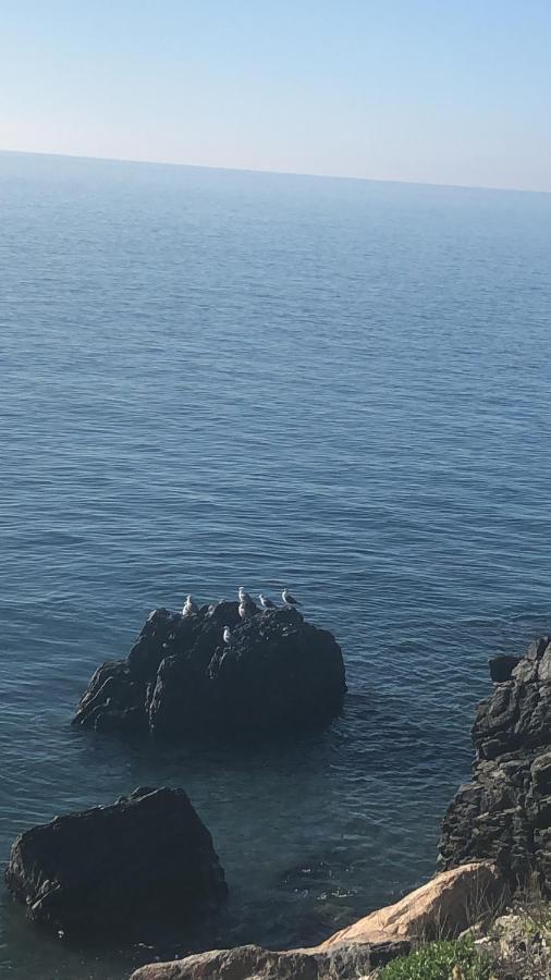 Apartamento Junto Al Mar En Costa Tropical Y Alpujarras Granadinas Melicena Eksteriør bilde
